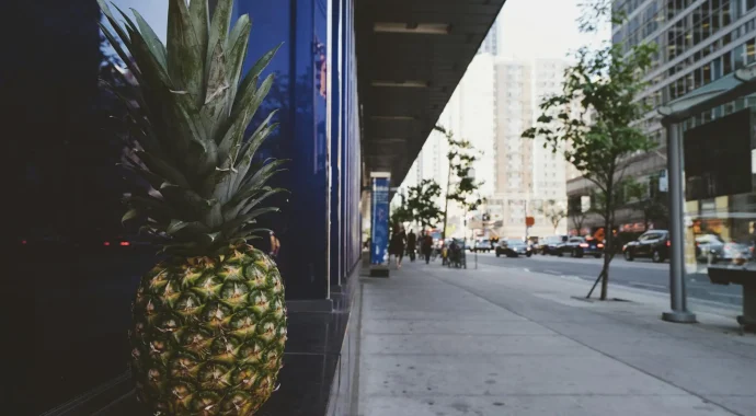 cover-image-cover-54