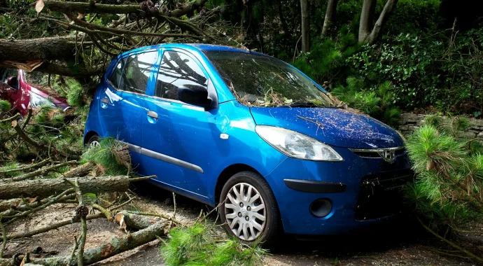 cover-image-cover-60