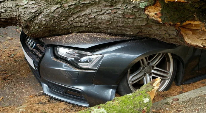 cover-image-cover-65